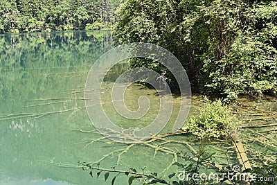 Nature in China Stock Photo